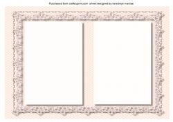 Lovely Pale Peach and Lace Incert