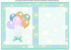 Aqua Birthday Incert