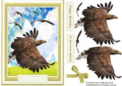 The Flight of the Eagles