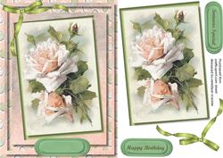 Lovely Summer Dreams Pink Roses 