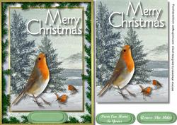 Lovely Traditional Robins in the Snow 
