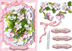 Beautiful Apple Blossom in a Bracket Frame