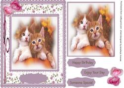 Two Beautiful Ginger Kitties
