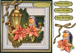 Beautiful Christmas Robin and Poinsettias 