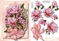Beautiful Pink Roses in a Double Lace Frill