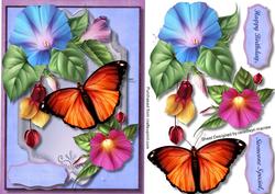 Gorgeous Butterfly and Morning Glory