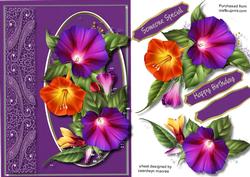 Beautiful Morning Glory in a Oval Frame 