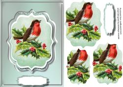 Lovely Robin on a Branch