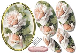 Lovely Creamy Pink Roses in a Oval Frame