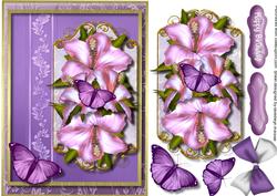 Lovely Hibiscus and Butterflys