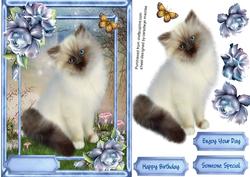 Beautiful Persian Cat and Blue Roses