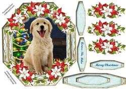 Lovely Labrador Pup in a Christmas Octaganal Frame