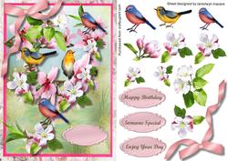 Beautiful Birds in the Blossom