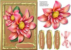 Beautiful Dahlia Flower.