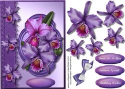 Beautiful Lilac Orchids