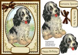 Beautiful Spaniel Pup