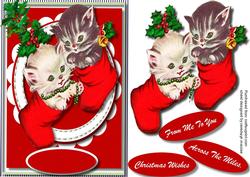 Kittys Hanging in the Christmas Stockings 