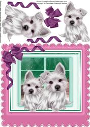 Two Lovely Westies in the Window