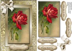 Beautiful Rose in a Gilded Frame