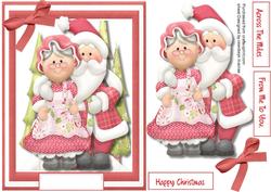 Mr & Mrs Santa Clause