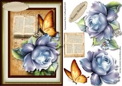 Beautiful Rose, Book and Butterfly