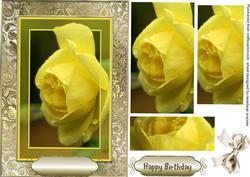 Beautiful Yellow Rose in a Gilded Frame , Pyramid