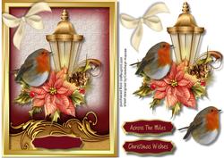 Beautiful Robin on the Lamp