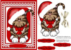 Kittykat in Santa Hat