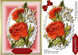 Beautiful Red Carnations and Babys Breath