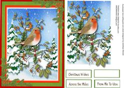 Lovely Robin and Christmas Scene