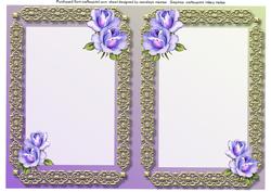 A5 Blank Incert with Lilac Roses