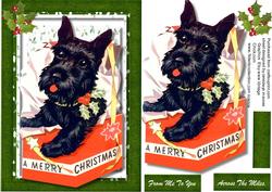 Lovely Scottie in a Christmas Box
