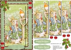 Peter Rabbit and the Christmas Robin