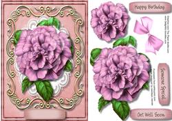 Lovely Crushed Pink Camellia in a Ornate Scroll