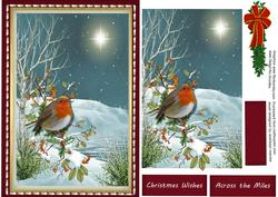 Beautiful Christmas Robin 