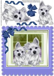 Lovely Westies at the Window