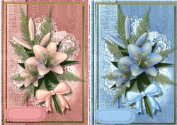 Two Lovely Toppers in Deep Pink / Blue
