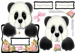 Lovely Over the Edge Panda