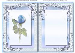 Incert Lovely Blue Rose