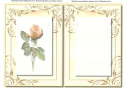 Incert Lovely Cream Rose
