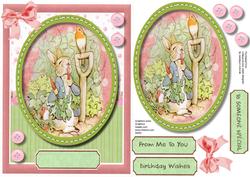 Peter Rabbit and the Winter Robin