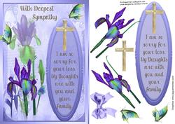 Beautiful Irises with Sympathy