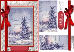 Beautiful Fir Trees in Winter