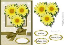 Beautiful Yellow Daisy's