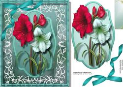 Beautiful Amaryllis in a Filigree Frame