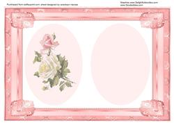 Lovely Pink Incert Wth a Rose