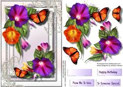 Beautiful Morning Glory and Butterfly's