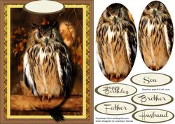 Beautiful Owl in Oval Pyramid 