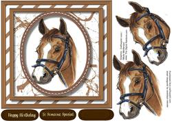 Beautiful Horses Head