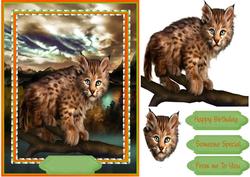 Beautiful Wild Cat Kitten 